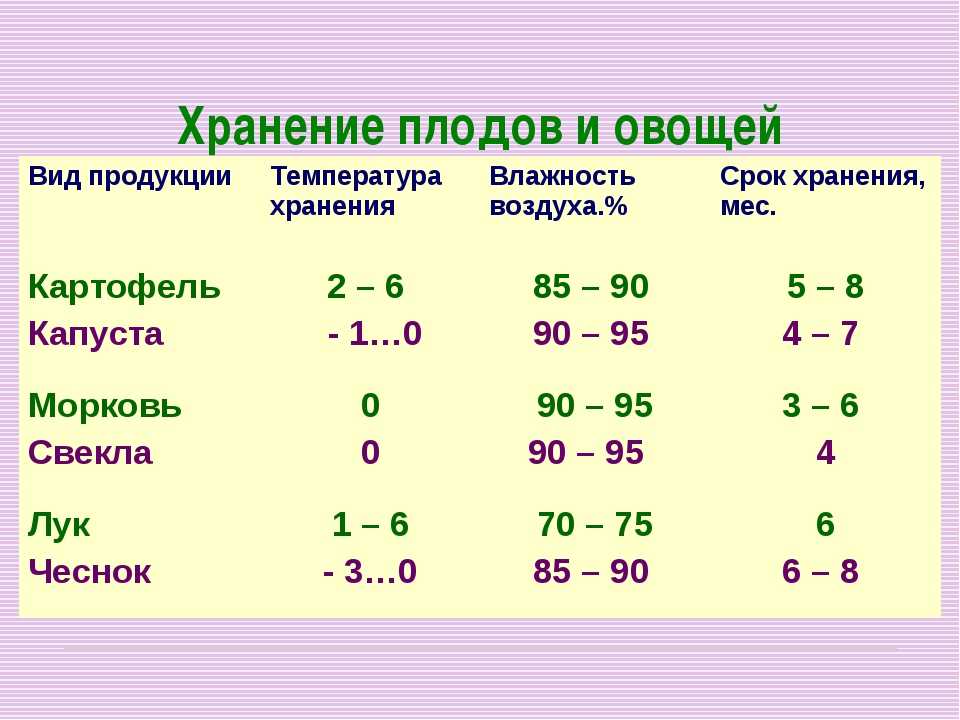 Температура хранения картошки. Температура хранения овощей. Температура хранения овощей таблица. Срок хранения овощей и картофеля. Оптимальные условия хранения картофеля.