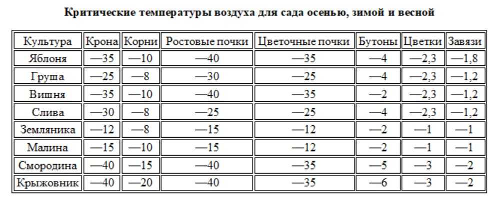 При какой температуре выделяет. Какую температуру выдерживает. Какие температуры выдерживают цветочные растения. Какую температуру выдерживают растения. Температура почвы при минусовых температурах.