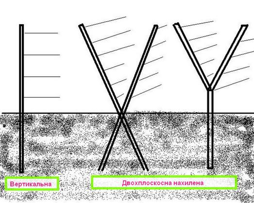 Шпалера для малины фото схема чертеж