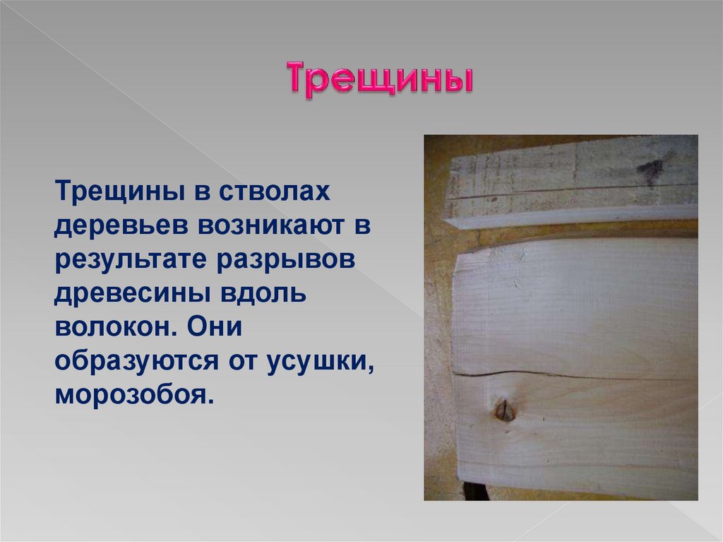 Трещина в древесине 5. Усыхание древесины вдоль волокон. Усушка древесины вдоль волокон. Усадка древесины вдоль волокон. Разрыв древесины вдоль волокон.