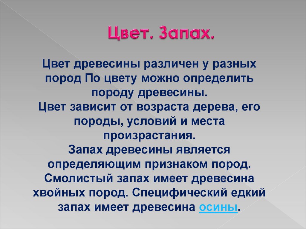 Запах древесины. Свойства древесины запах. Древесина цвет запах. Запах древесины это определение. Цвет блеск запах древесины.