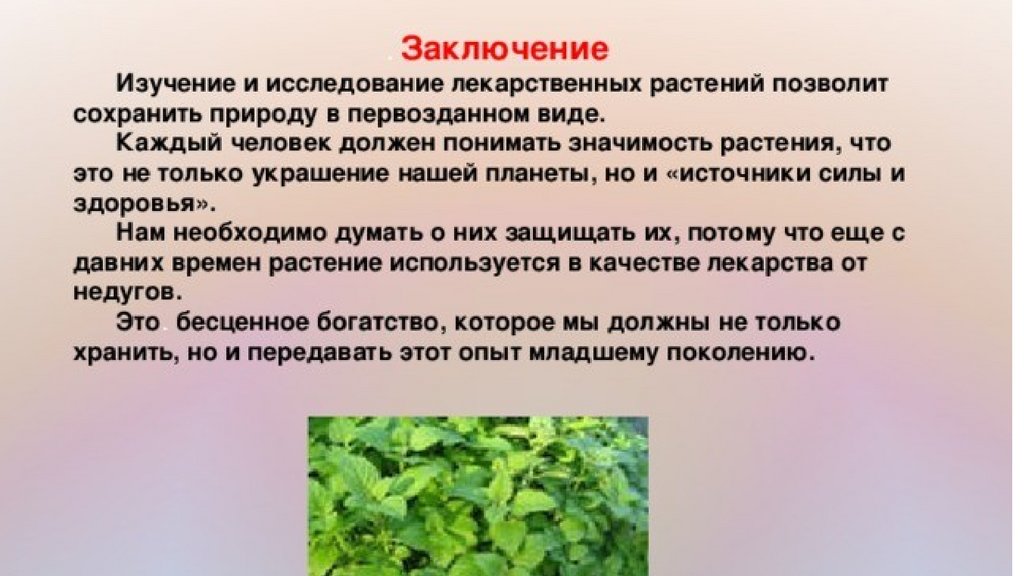 Растения и человек презентация