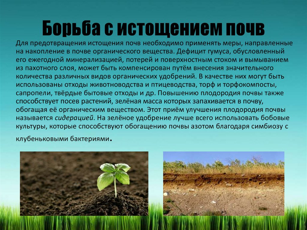 Изменения состояния почвы