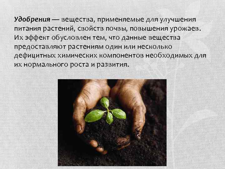 Растения обеспечивают жизнь другим потому что. Удобрения для растений. Удобрение почвы. Питание растений. Минеральные удобрения для почвы.