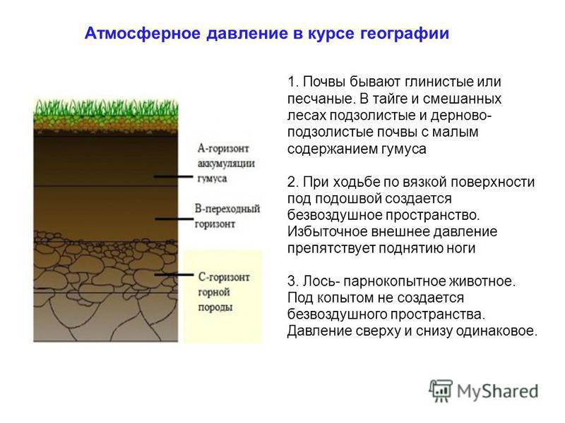 Почвы по степени увеличения мощности гумусового горизонта. Дерново-подзолистые почвы гумус. Строение подзолистых почв.