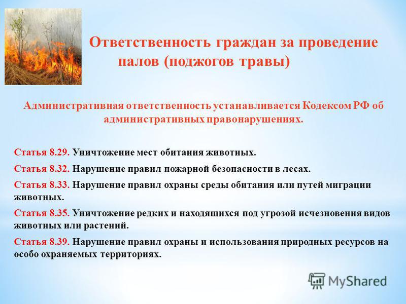 Статья 8.32. Ответственность за нарушение правил пожарной безопасности в лесах. Ответственность за поджог травы. Пожарная безопасность в лесу. Пожарная безопасность поджог травы.