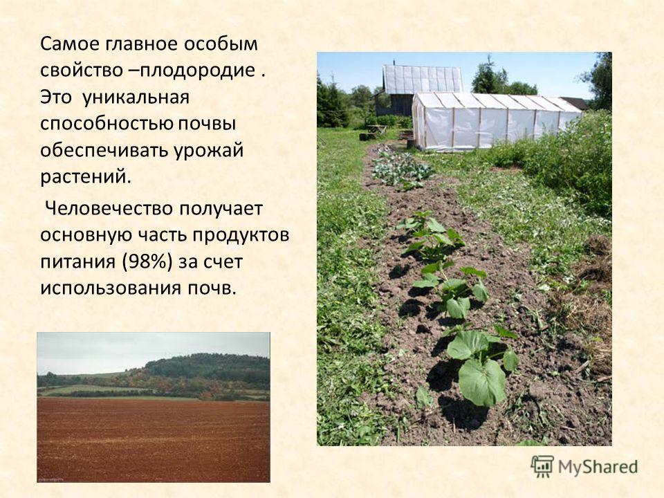 Плодородие это свойство почвы которое. Рыхление почвы вокруг культурных растений. Главное свойство плодородия.