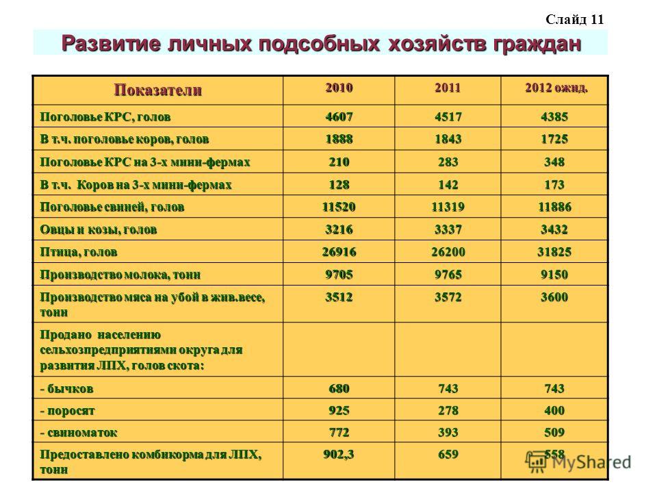 Как составить план на соц контракт на лпх