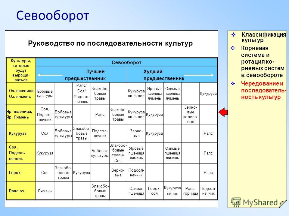 Пример схемы севооборота