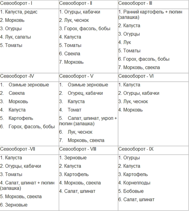 План севооборота на дачном участке