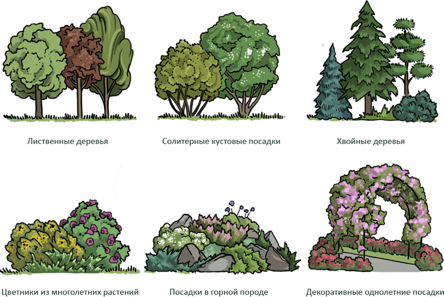 Схема посадки деревьев и кустарников