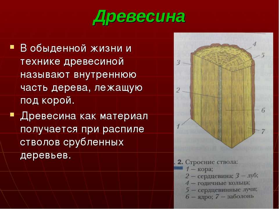 Виды древесины 5 класс технология. Презентация на тему древесина. Строение пиломатериала. Строение древесных материалов. Сообщение на тему древесина природный конструкционный материал.