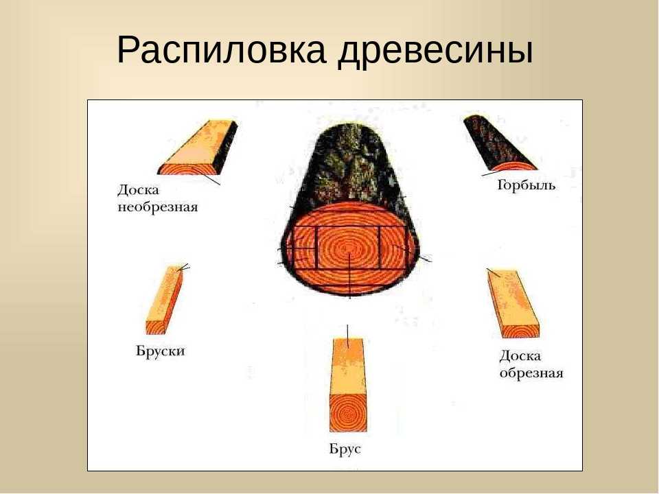 Как называется технология. Распиловка древесины схема. Схема пиления древесины. Составление схемы раскроя бревна на пиломатериалы. Пиломатериалы и древесные материалы.