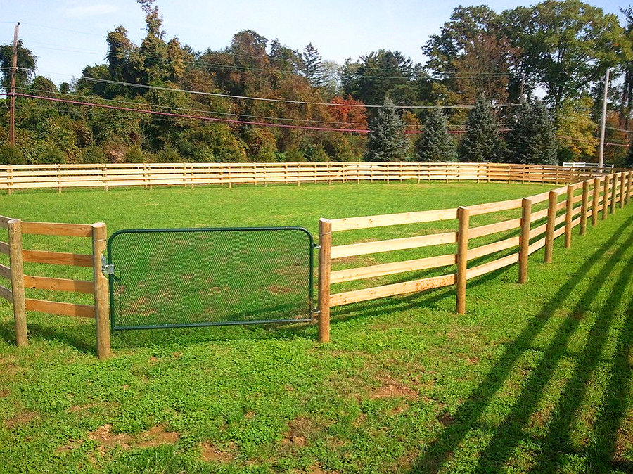 Что такое загон. Забор для лошадей. Изгородь для лошадей. Забор загон для лошадей. Забор для загона.
