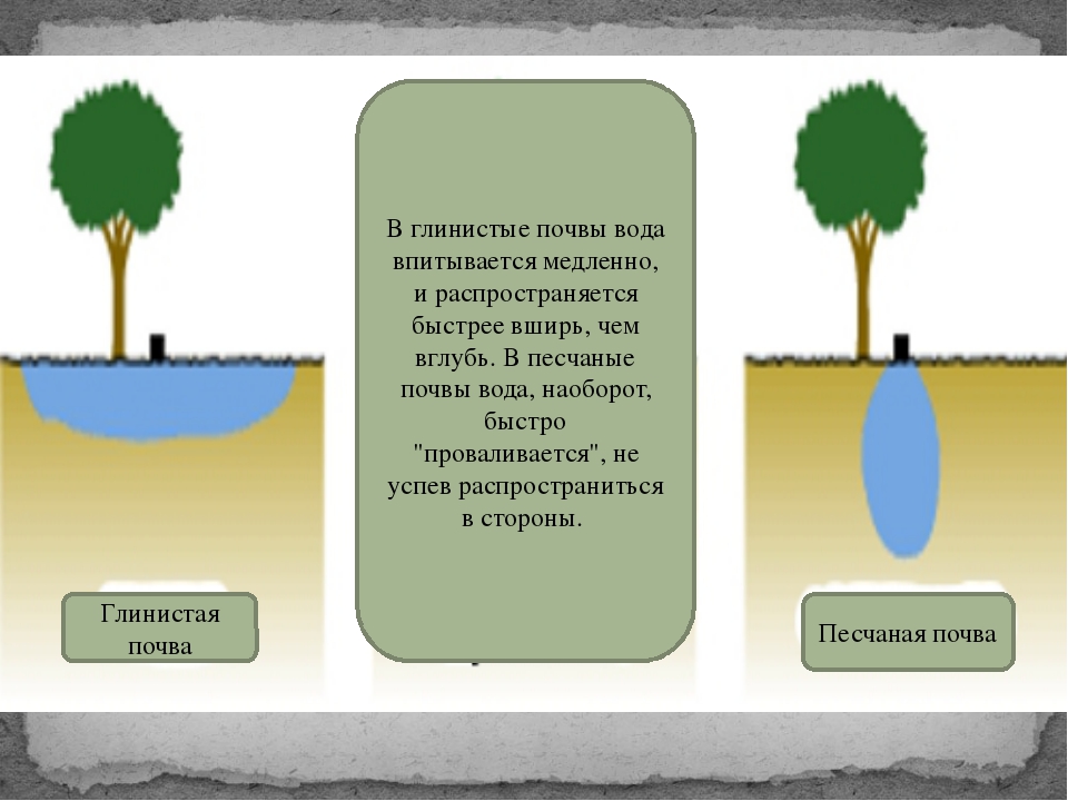 Источник воды в почве. Глинистая почва вода. Впитывание воды в почву. Вода проникает в почву. Почва пропускает воду.