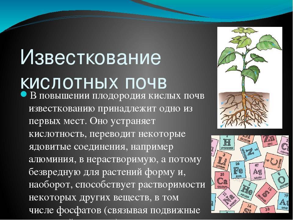 Почву можно как. Известкование почвы реакция. Средства для известкования почвы. Известкование кислых почв процесс. Технология известкования кислых почв.