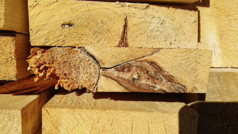 Трещина в доске. Дефекты обработки древесины. Механические повреждения древесины. Скол древесины. Вырыв древесины.