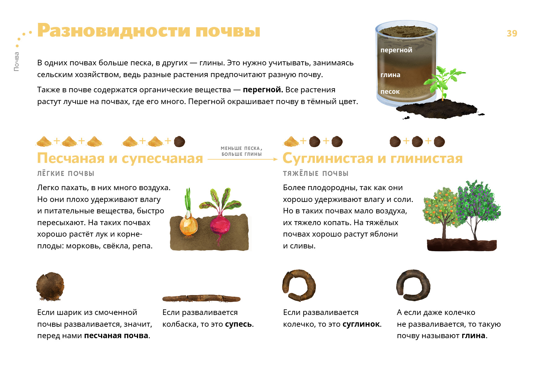 Какая почва лучше. Культуры на песчаных почвах. Что растет на глинистой почве. Какие растения растут в глиняной почве. Растения вырастет на суглинистой почве.