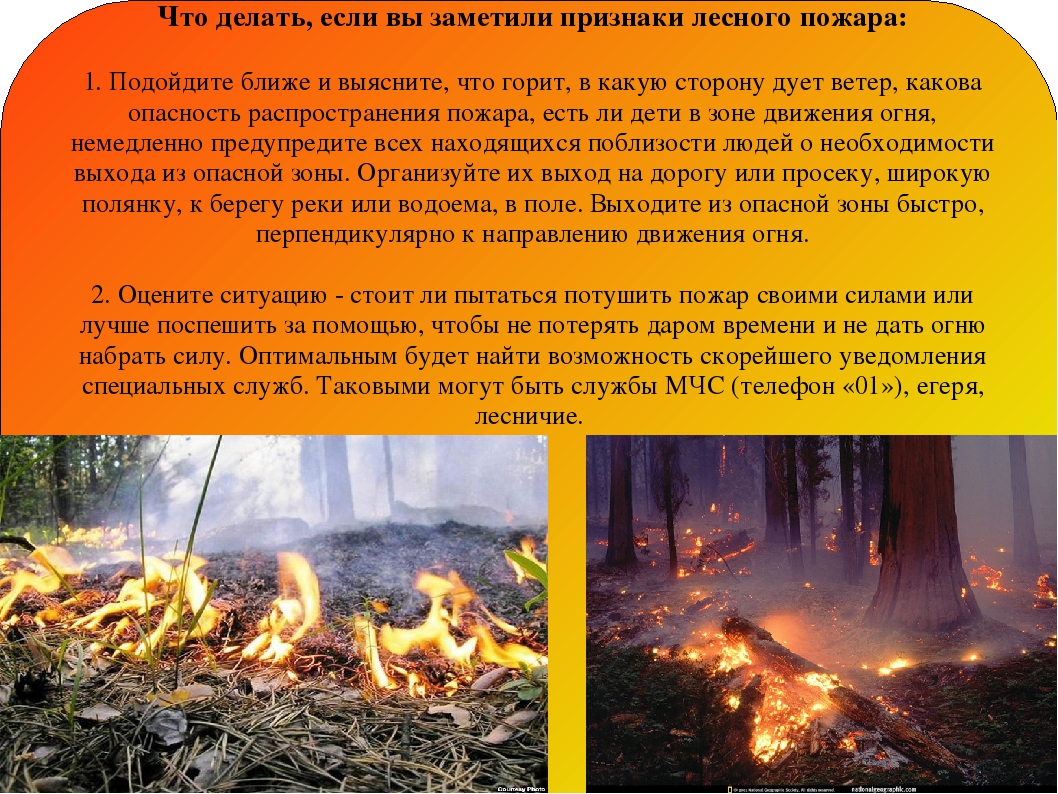 Лесной пожар задачи. Презентация на тему пожар в лесу. Презентация на тему Лесные пожары. Презентация на тему пожар. Опасность пожара в лесу.