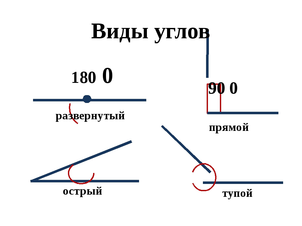 Какие углы всегда равны