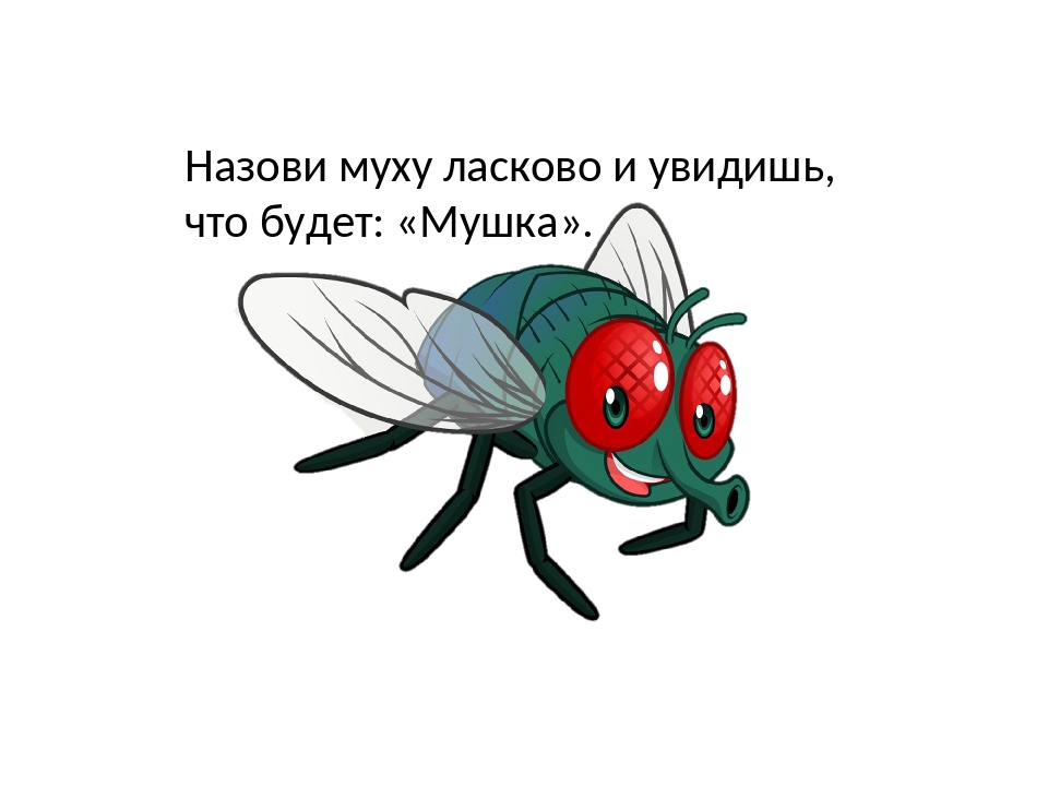 Детям про муху