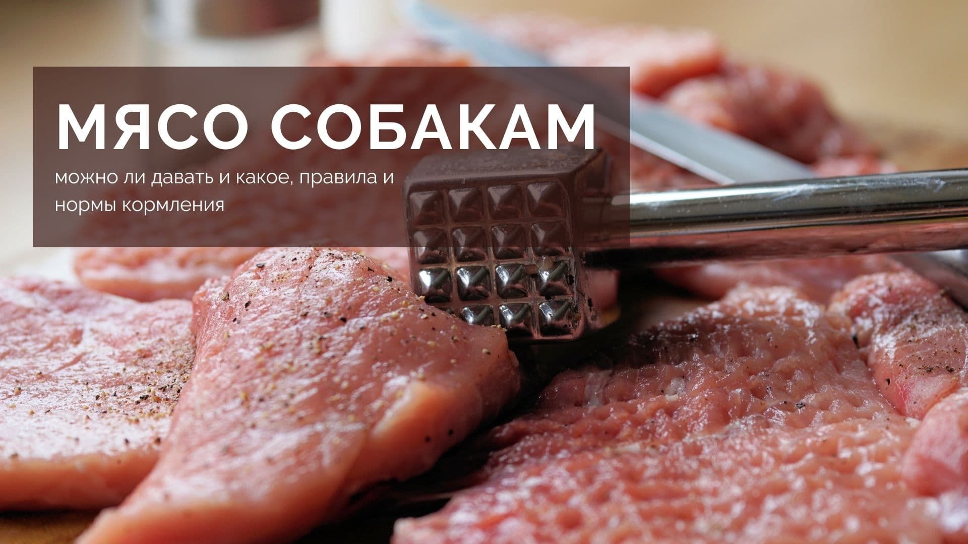 Можно давать собаке сырое мясо. Мясо для собаки фасованное. Визитки мясо для собак. Диетическое мясо для собак.