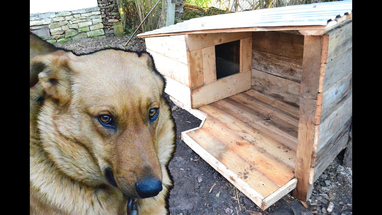 Fallout 4 как создать будку для собаки фото 107