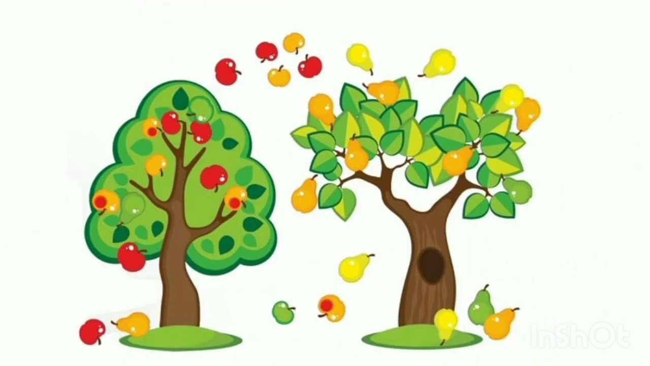 Картинка сад для детей. Плодовые деревья для детей. Плодовые деревья для дошкольников. Садовые деревья для детей. Деревья в саду для детей.