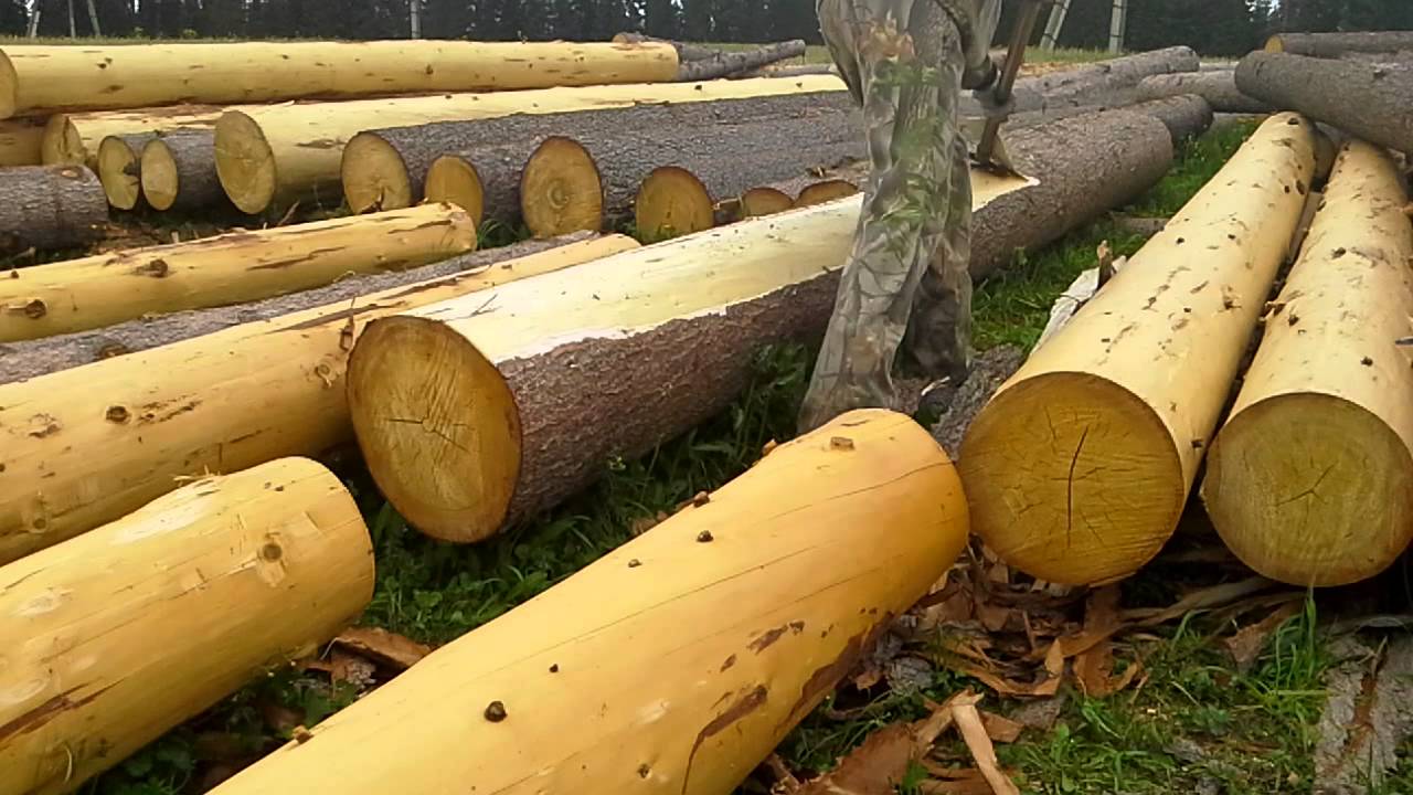 Бревном называется. Окорка бревен. Скобель для окорки бревна. Бревно очищенное. Окорка дерева.