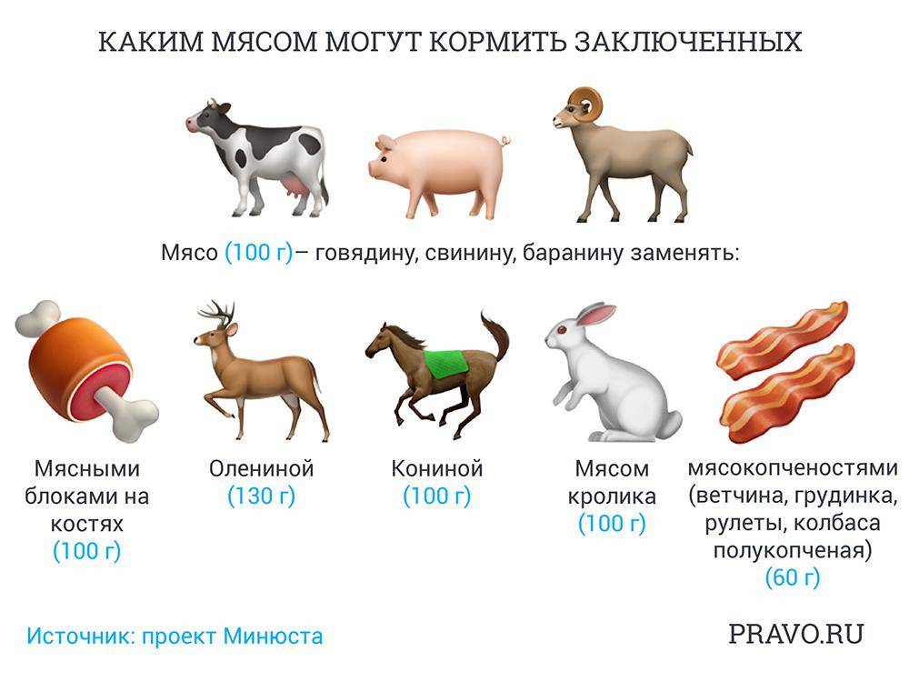 Какое мясо можно на новый год 2024. Когда можно давать говядину ребенку. Какое мясо можно детям. Какое мясо можно давать ребенку. Какое мясо животных нельзя есть.