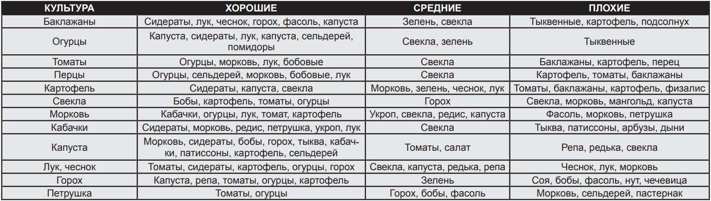 Что посадить после чеснока на следующий год. Севооборот сидератов и овощных культур. Сидераты для огорода таблица. Таблица характеристик сидератов. Сидераты для томатов.