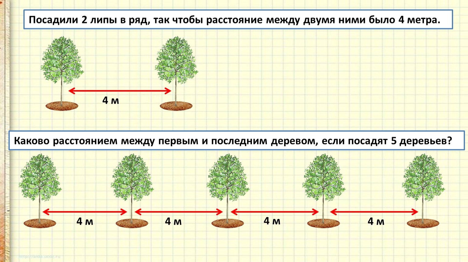 Какое расстояние должно быть между саженцами. Расстояние между деревьями. Схема посадки деревьев. Расстояние посадки деревьев. Расстояние между деревом и кустарником.