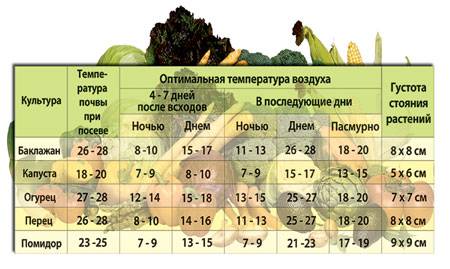 Температура для выращивания рассады томатов. Температурный график для выращивания рассады томатов. Температура и влажность в теплице для помидор и огурцов. Температура почвы для высадки рассады. Оптимальная температура для теплицы.