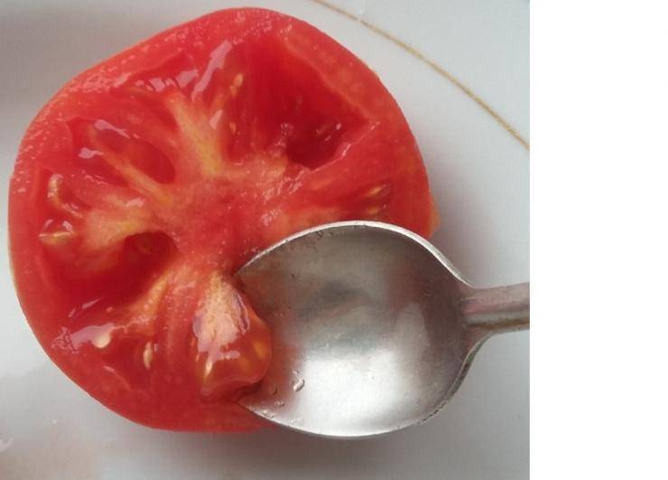 Форма семян томата. Семена помидор. Семена из помидор. Семечко помидора. Выжатый помидор.