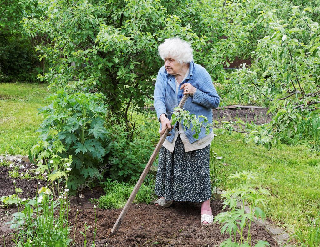 Бабушка в огороде