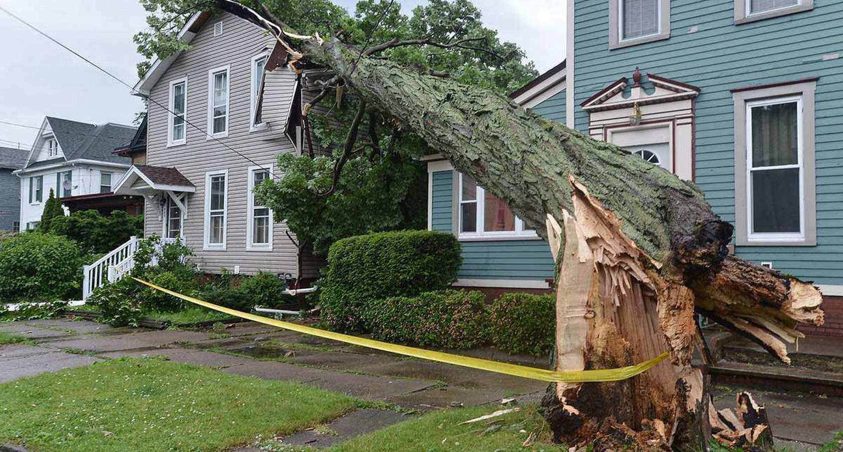 Сосед спилил деревья. Дерево упало на частный дом. Упавшее дерево на дом. Дерево упало на дом. Фигурная стрижка деревьев.