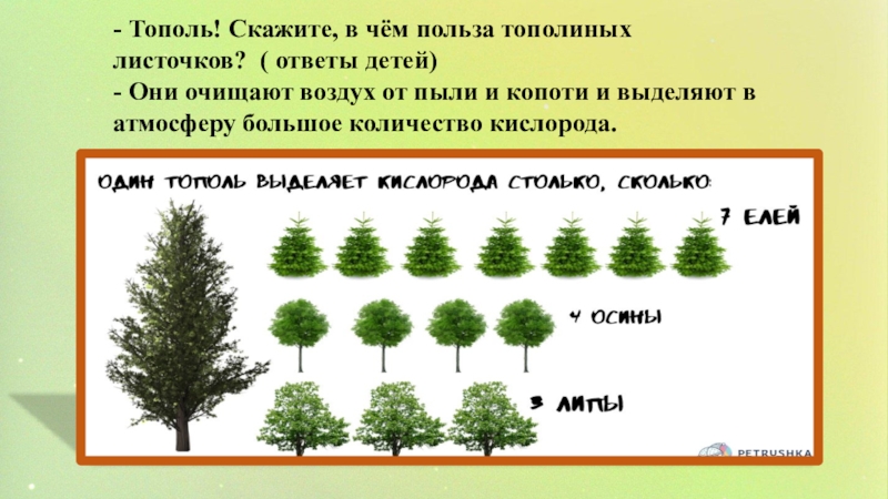 Род тополь виды. Тополь очищает воздух. Тополь пользхк. Чем полезен Тополь. Таблица очистки воздуха тополями.