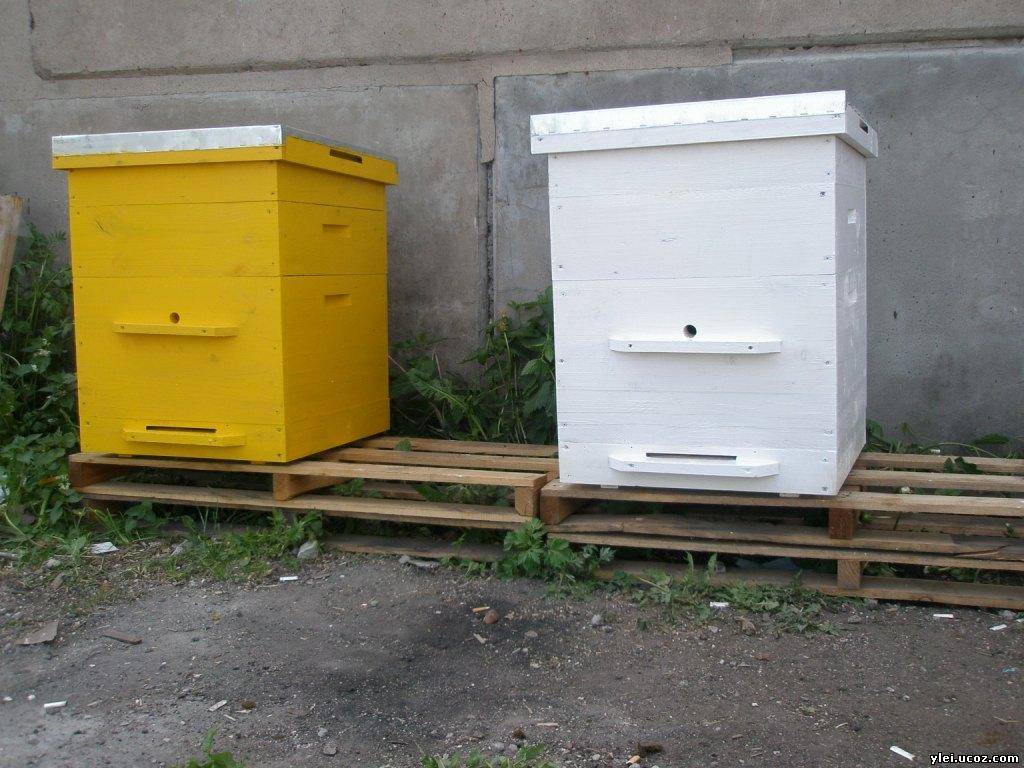 Купить пчелосемьи в белгородской области. Улей "Дадан" 6-рамочный. Ульи ППУ рута. Улей 12 рамочный (Дадан). Улей на пасеке.